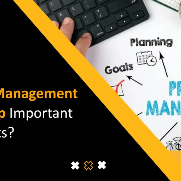 Why is Project Management Assignment Help Important for Busy Students?